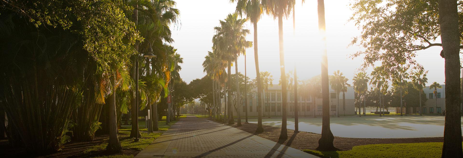 photo of campus with bright sun